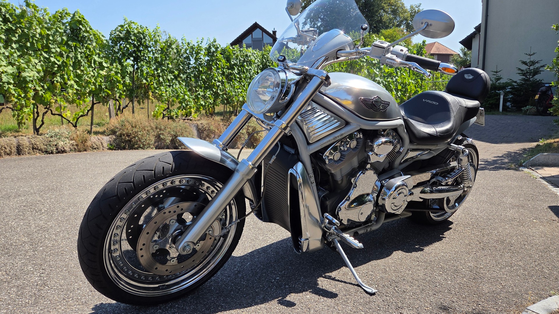 HARLEY-DAVIDSON VRSCA VROD-image-13