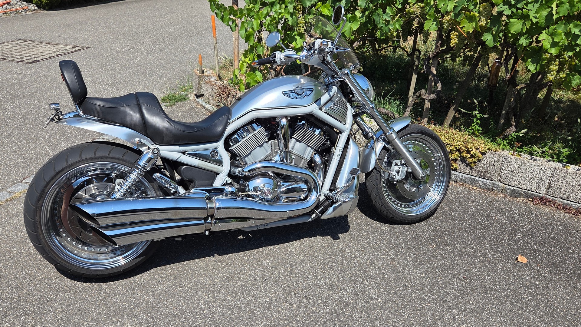 HARLEY-DAVIDSON VRSCA VROD-image-1