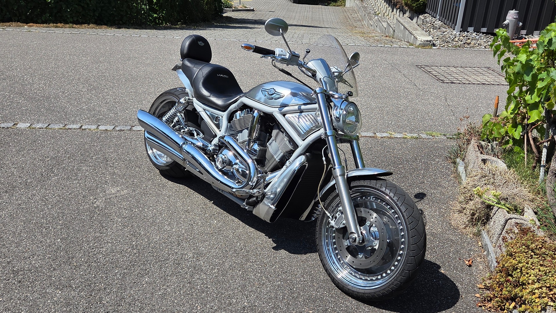 HARLEY-DAVIDSON VRSCA VROD-image-4