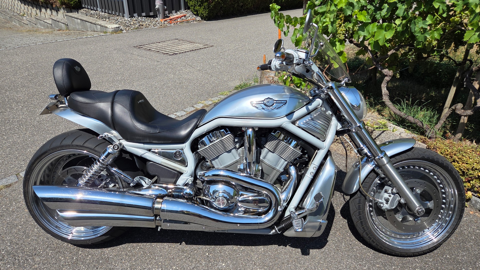 HARLEY-DAVIDSON VRSCA VROD-image-8