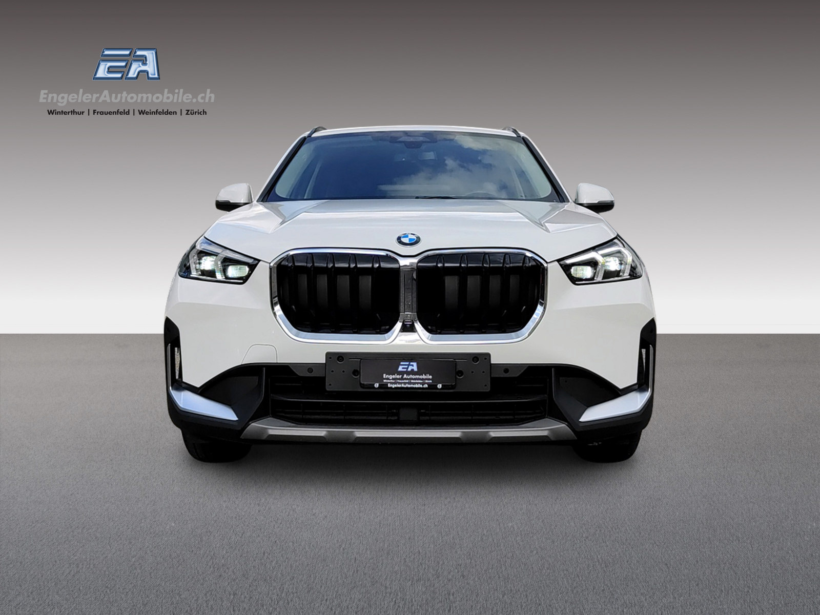 BMW X1 U11 20d xDrive-showroom-element-1