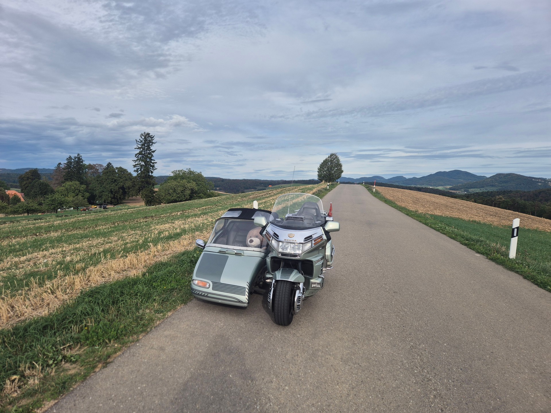 HONDA sidecar Goldwing SE EML-image-8