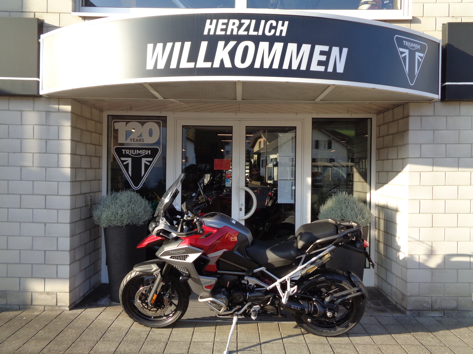 TRIUMPH Tiger 1200 GT Explorer-image-4
