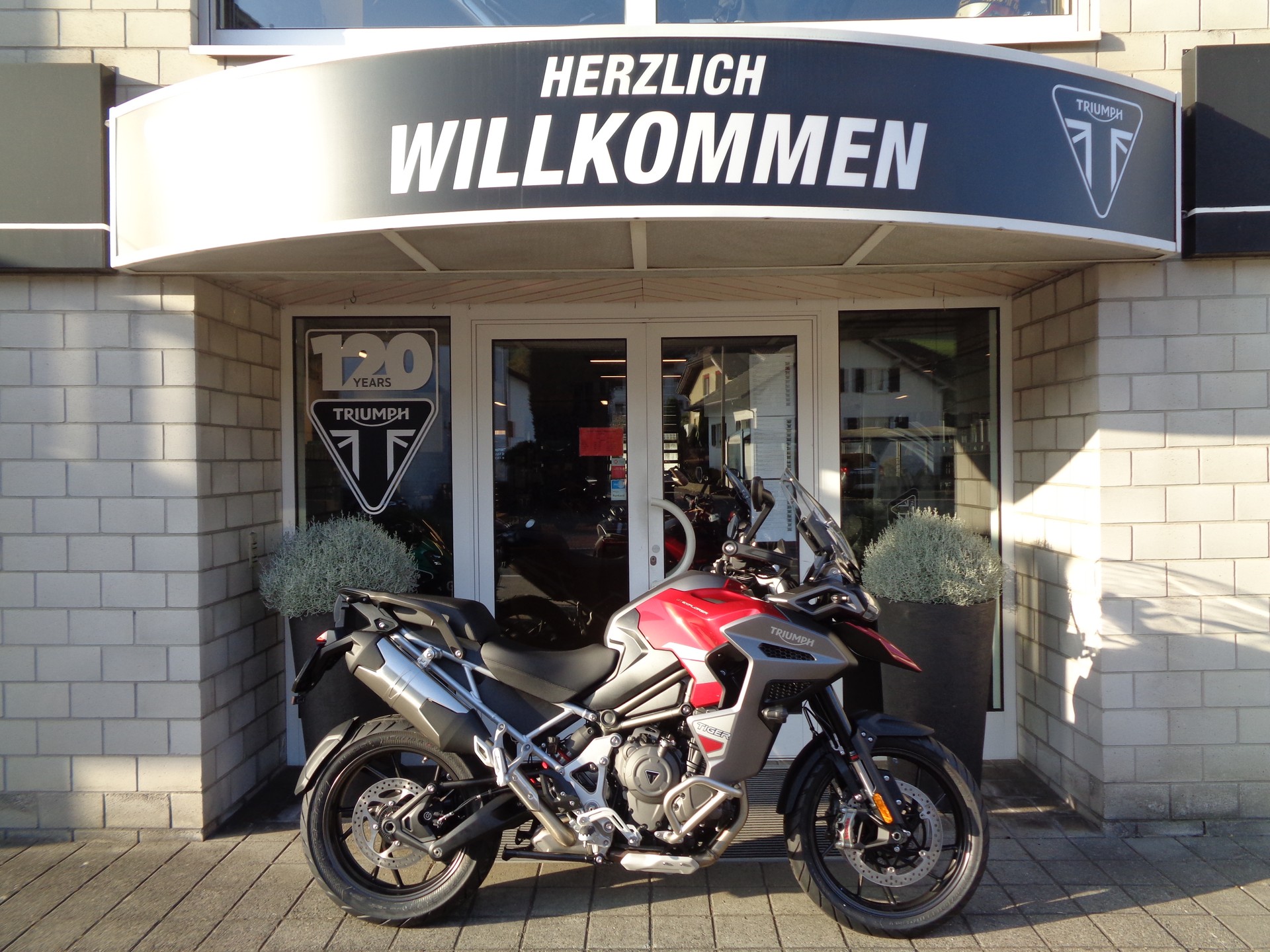TRIUMPH Tiger 1200 GT Explorer-image-1