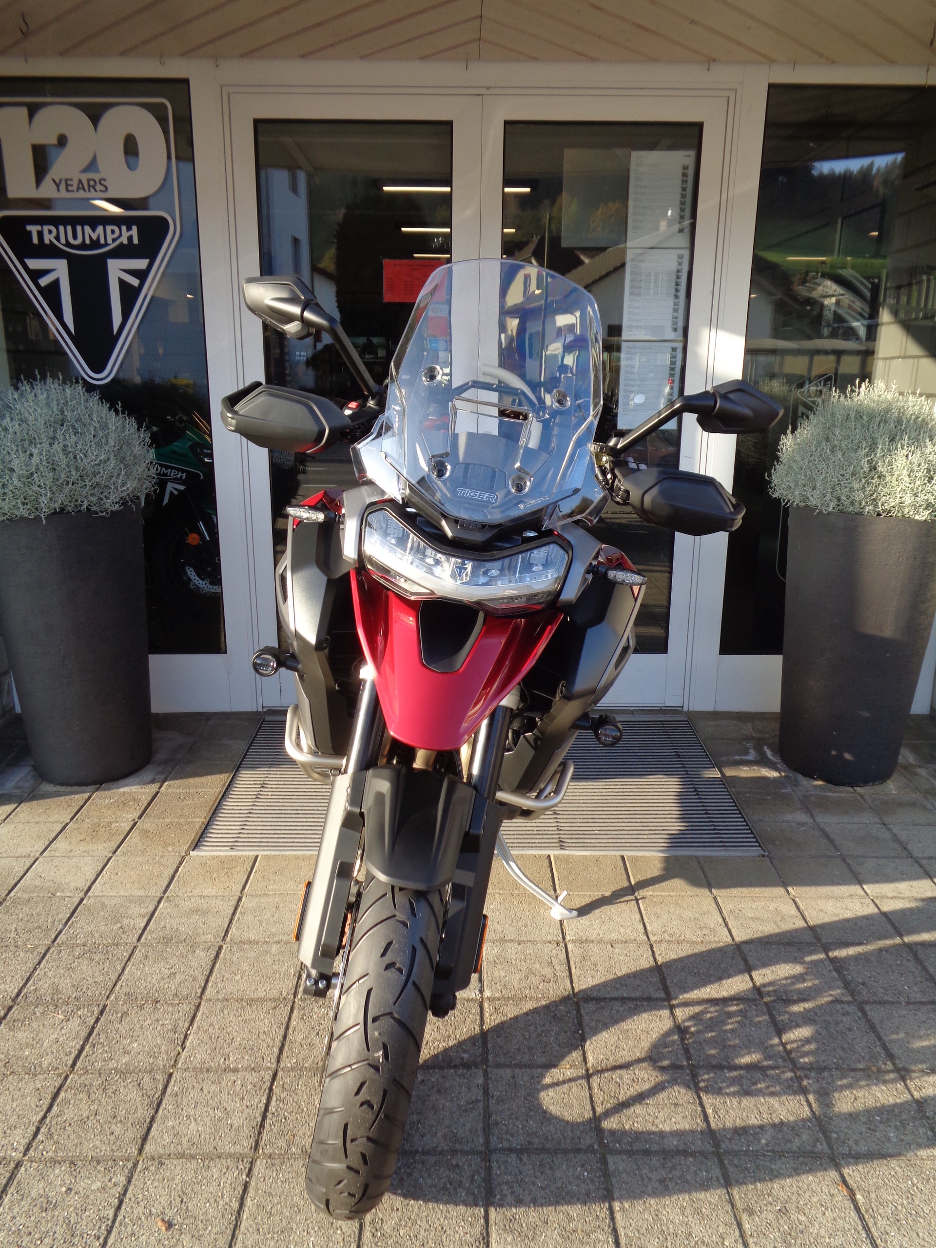 TRIUMPH Tiger 1200 GT Explorer-image-6