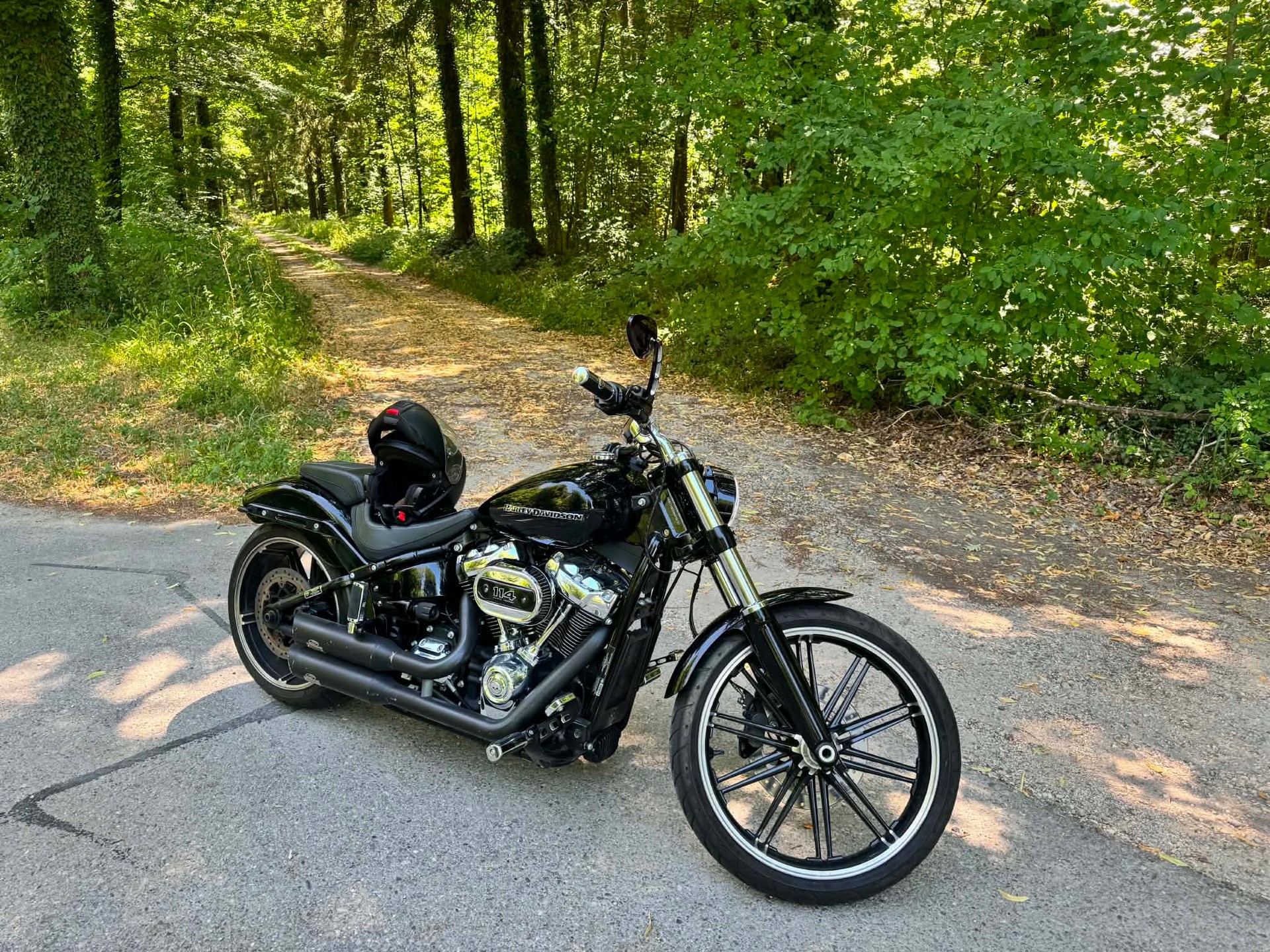HARLEY-DAVIDSON FXBRS Breakout 114 ABS-image-0