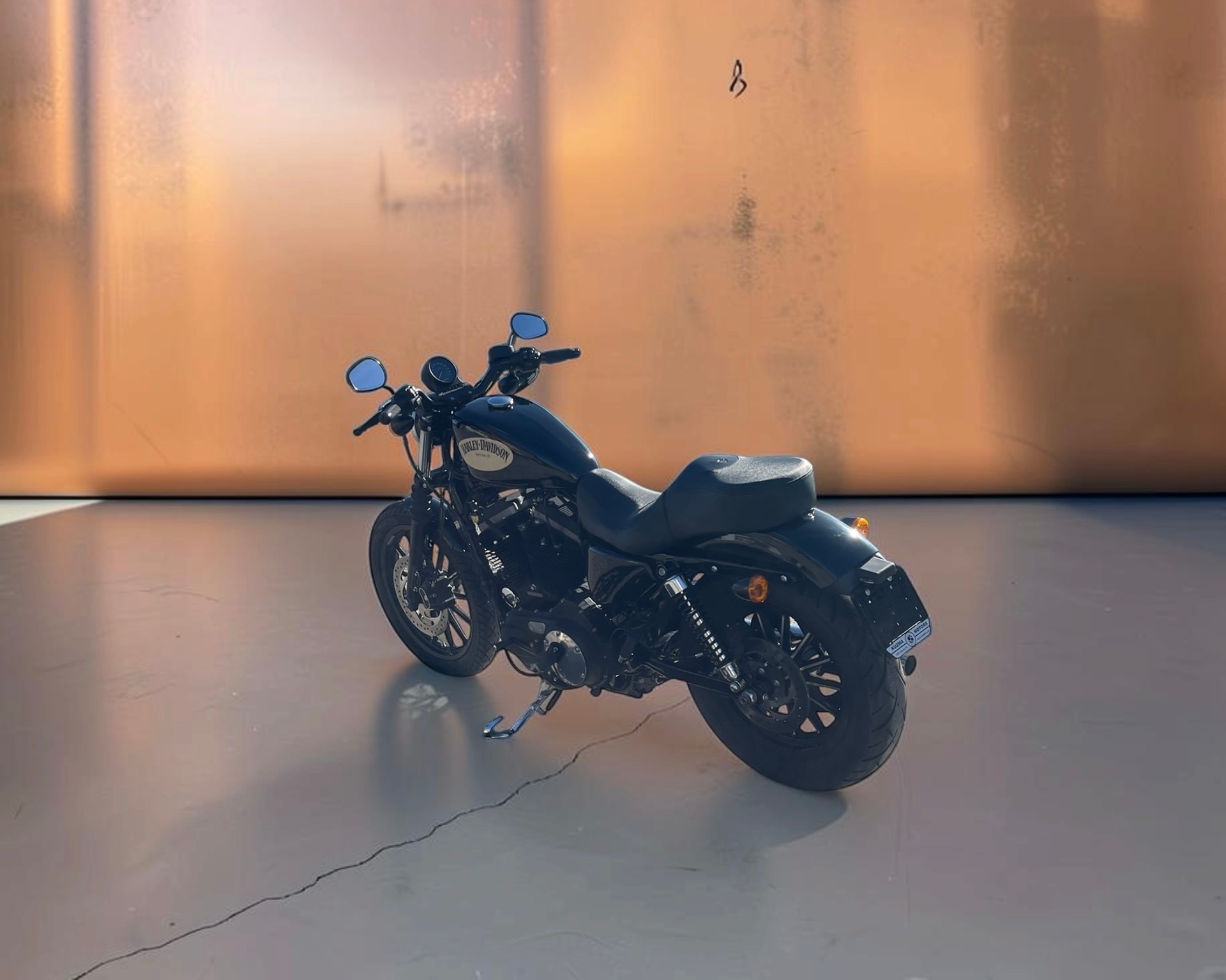 HARLEY-DAVIDSON XL 883 N Sportster Iron ABS-image-3