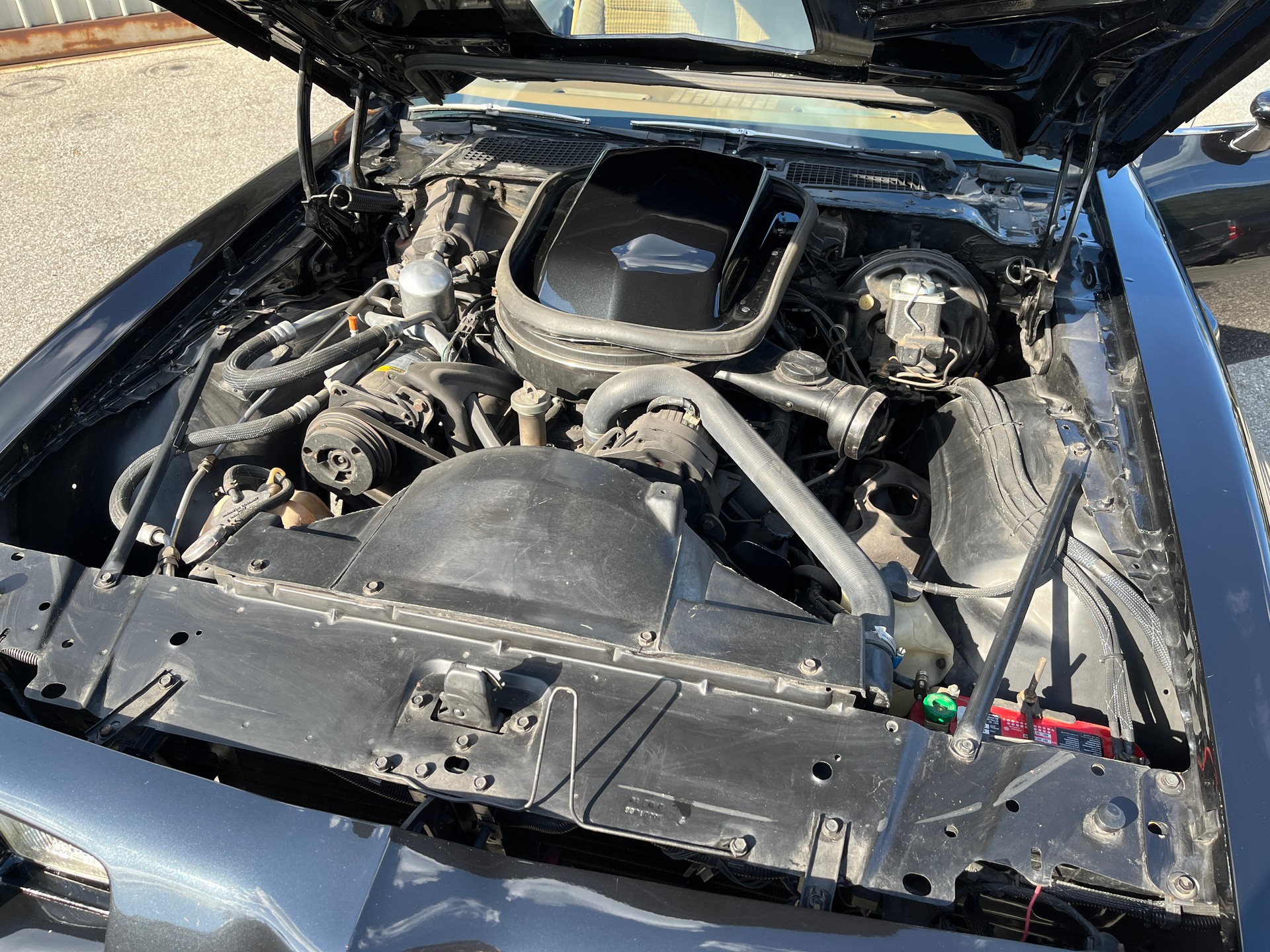PONTIAC Firebird Trans-AM 403cui-image-6