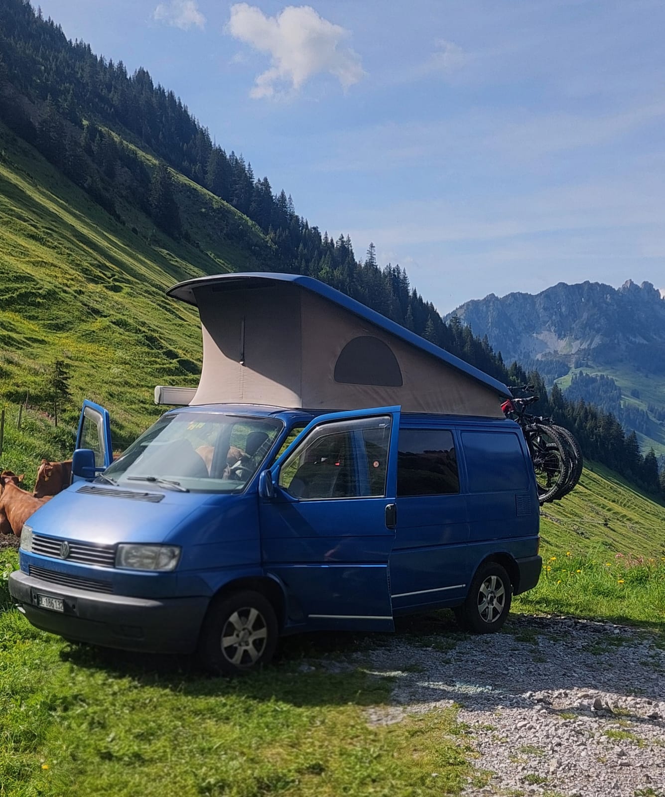 VW T4 Camperausbau, ab gr. Service/ MFK