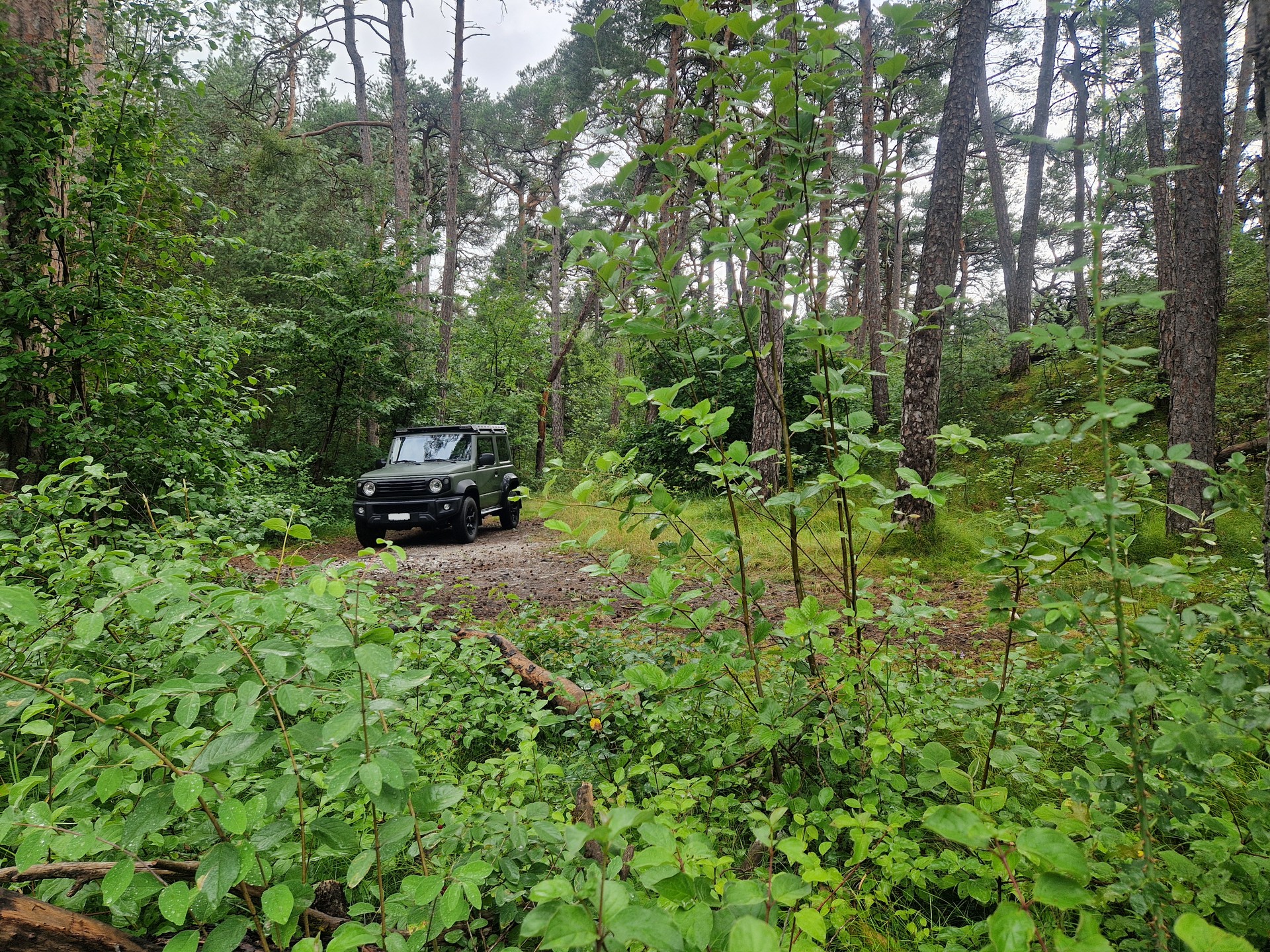 SUZUKI 1.5 Compact Top 4x4 Handschaltung-image-13