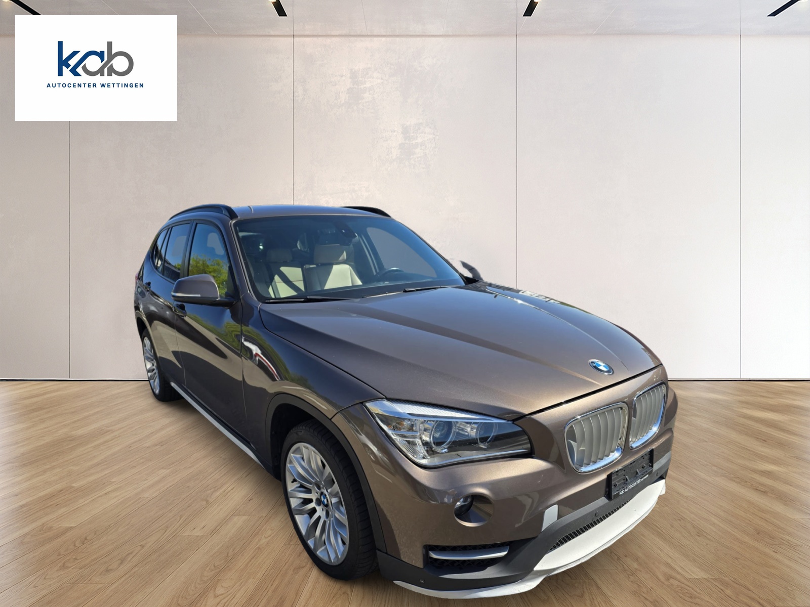 BMW X1 xDrive 20i Sport Line Steptronic-showroom-element-2