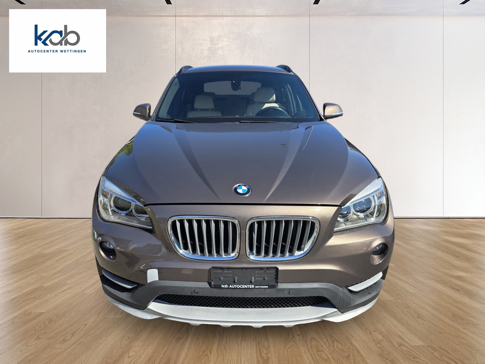 BMW X1 xDrive 20i Sport Line Steptronic-showroom-element-1