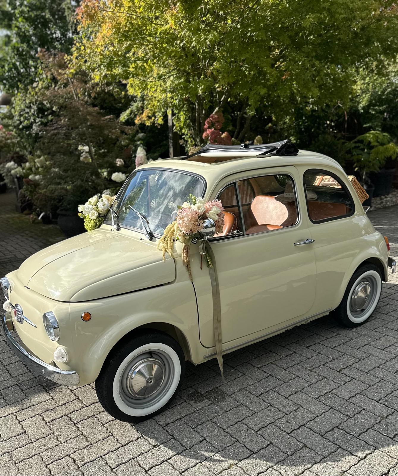 FIAT 500-image-1