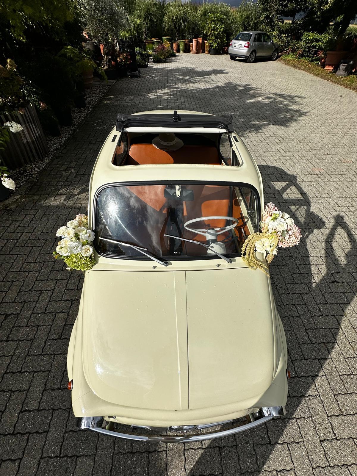 FIAT 500-image-3