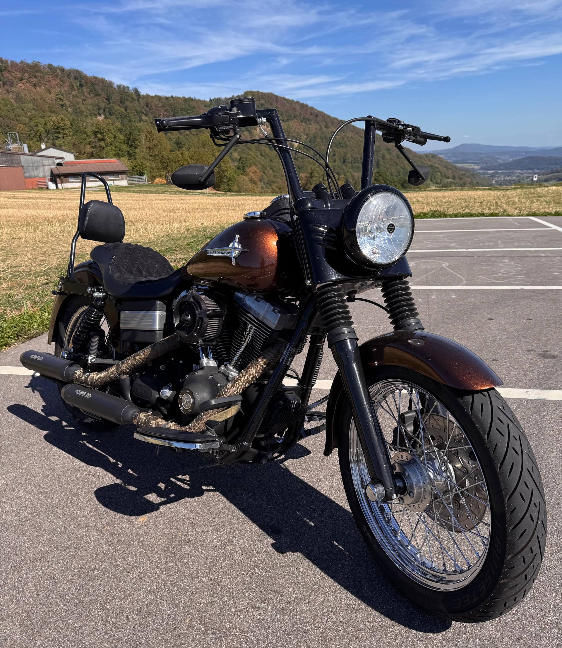 HARLEY-DAVIDSON FXDBI Dyna Street Bob-image-0