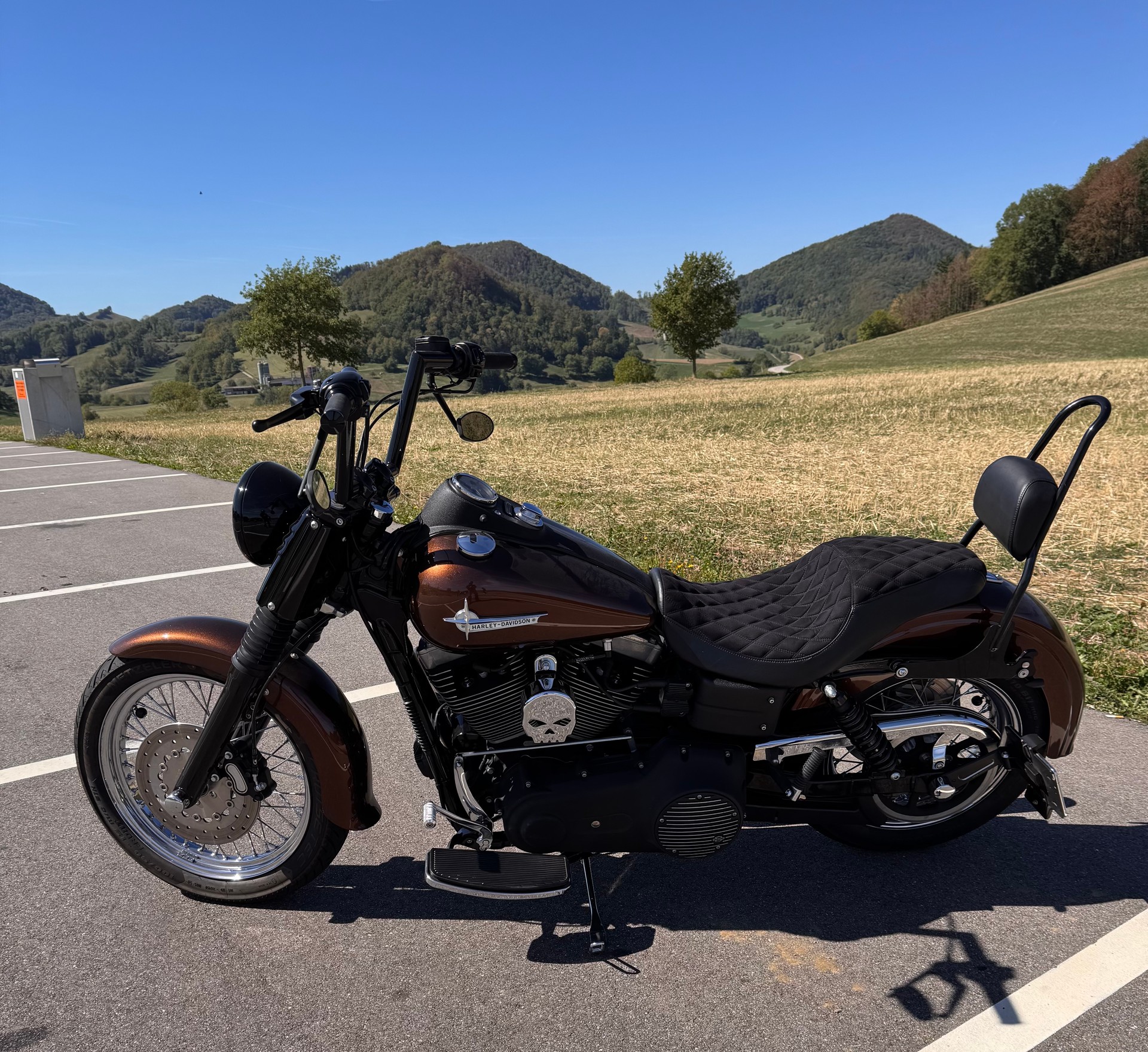 HARLEY-DAVIDSON FXDBI Dyna Street Bob-image-7
