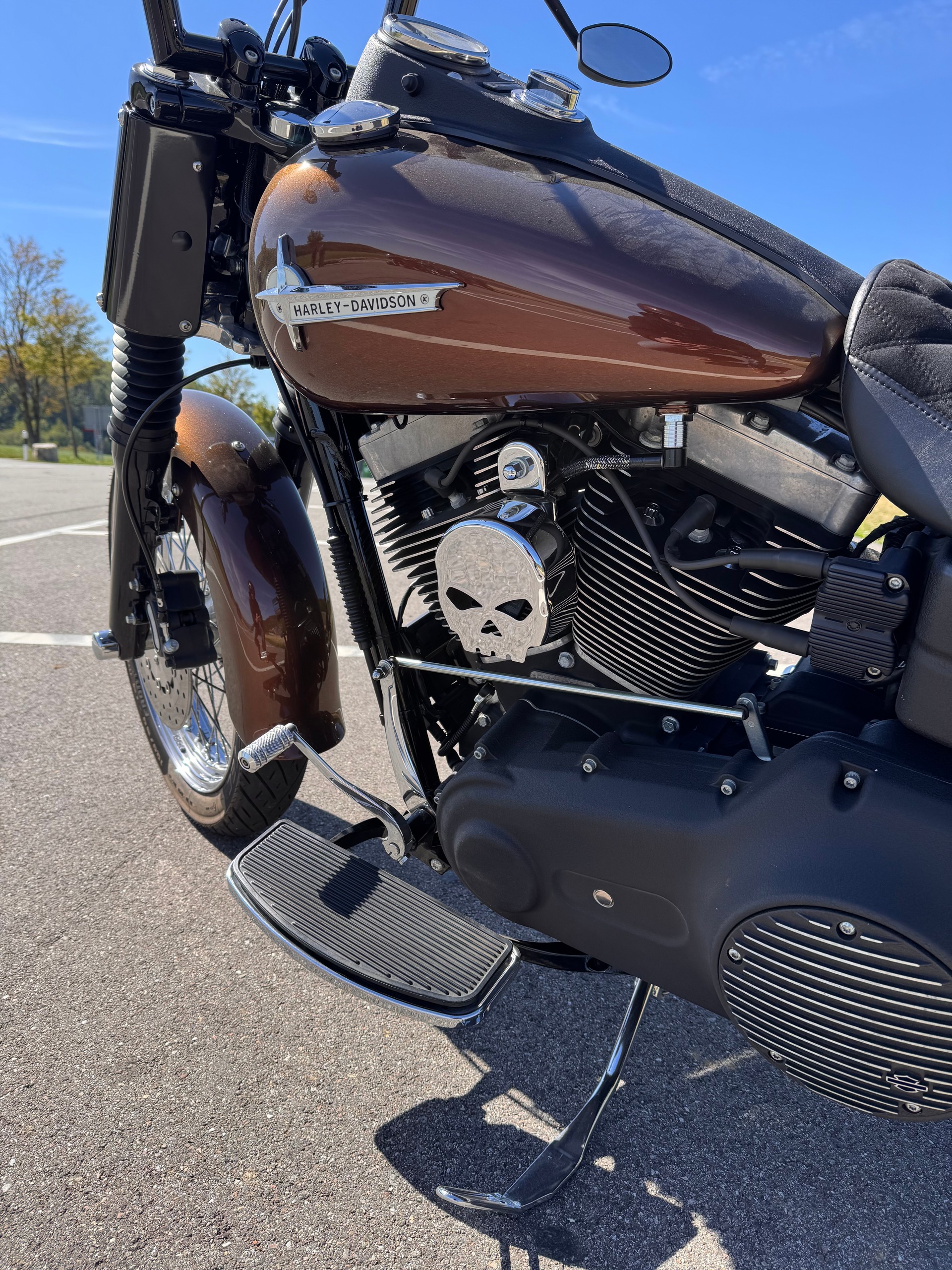 HARLEY-DAVIDSON FXDBI Dyna Street Bob-image-6