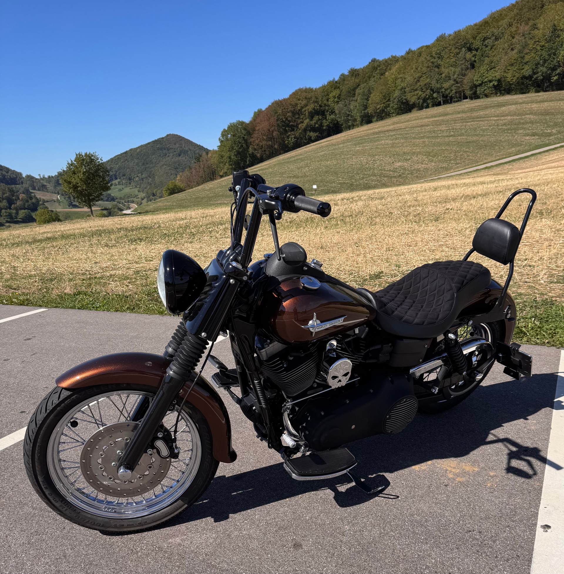 HARLEY-DAVIDSON FXDBI Dyna Street Bob-image-1