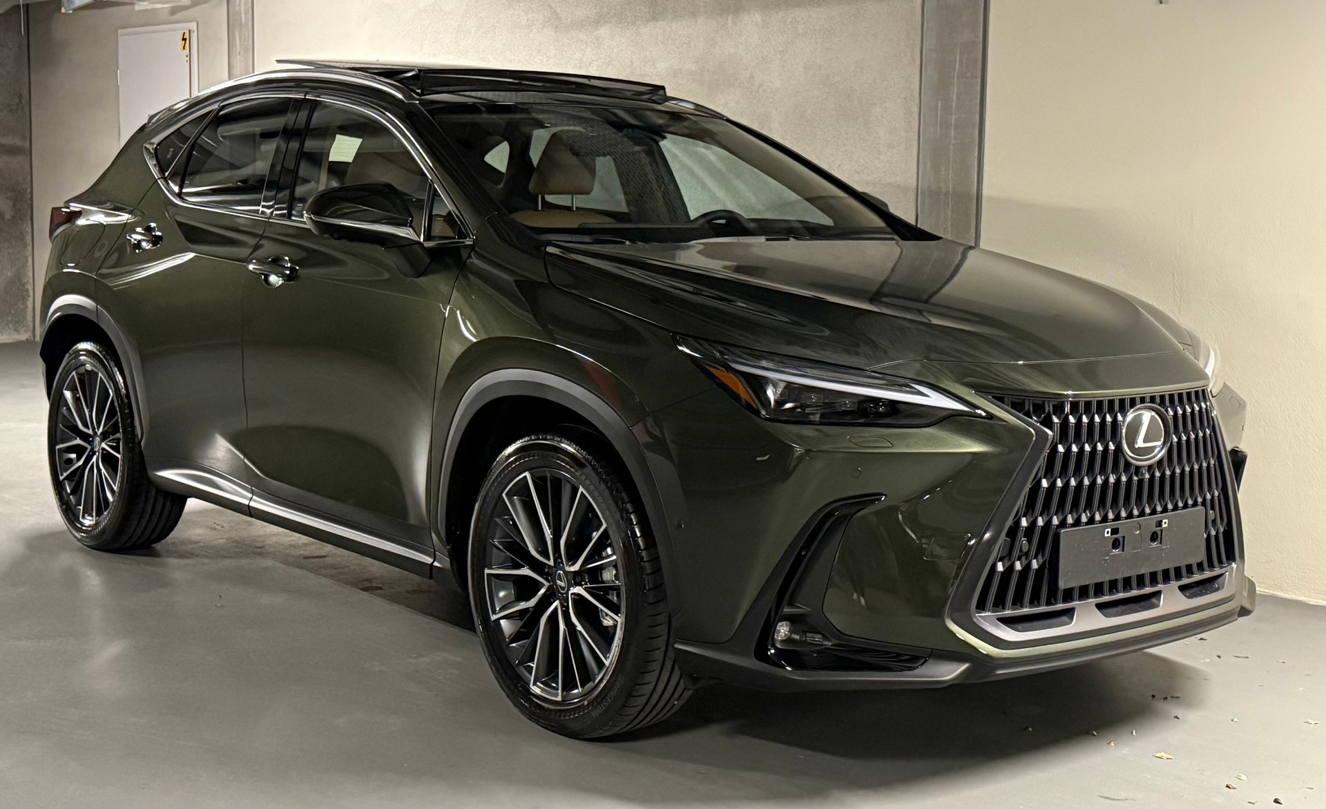 LEXUS NX 450h+ E-FOUR Excellence-showroom-element-1