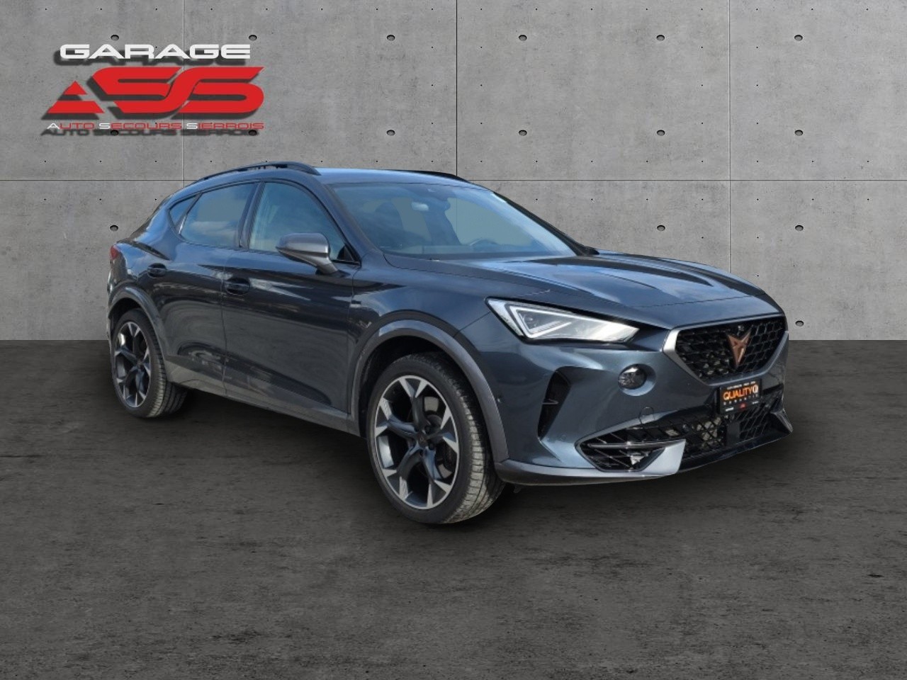CUPRA Formentor 2.0TSI Tribe Edition 4Drive DSG-showroom-element-2
