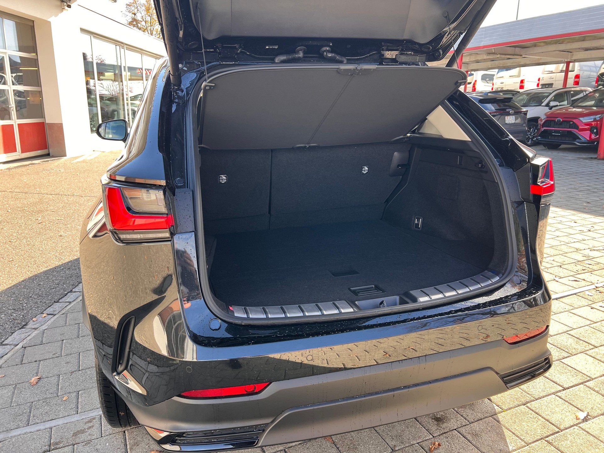 LEXUS NX 450h+ Excellence-image-6