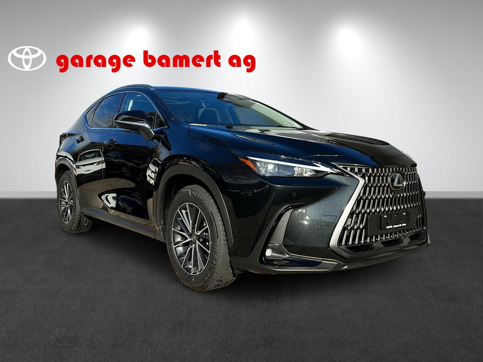 LEXUS NX 450h+ Excellence-showroom-element-2