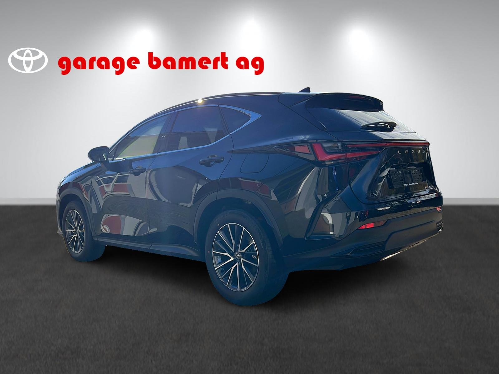 LEXUS NX 450h+ Excellence-showroom-element-3