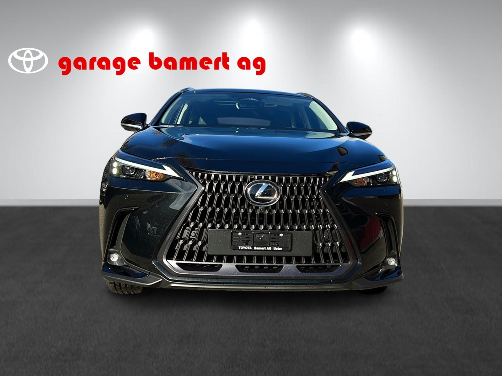 LEXUS NX 450h+ Excellence-showroom-element-1