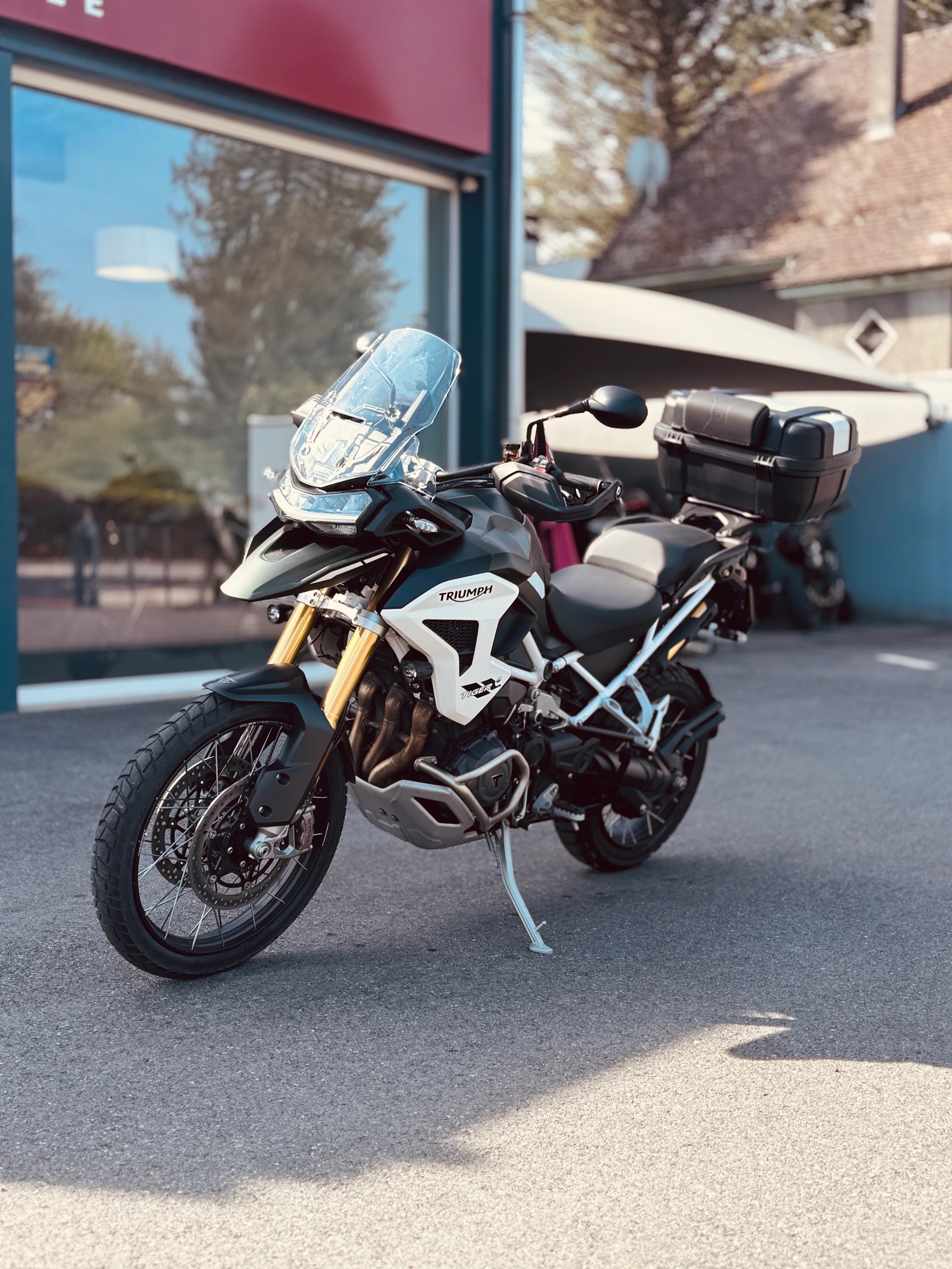 TRIUMPH Tiger 1200 Rally Pro-image-3
