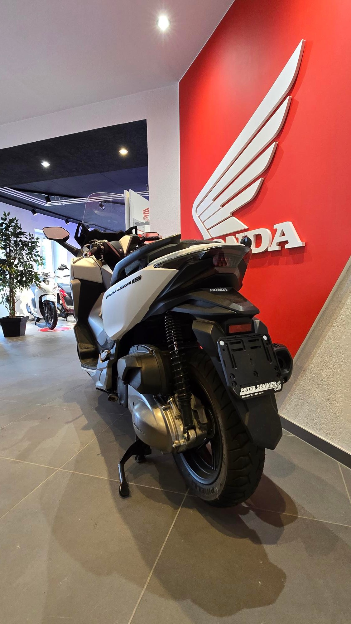 HONDA 300-image-2