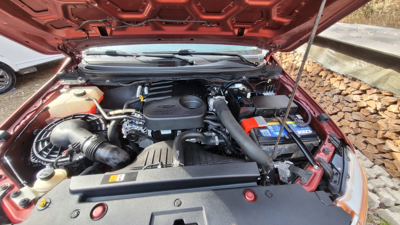 FORD wohnkabine Ranger XLT 2.2 TDCi 4x4 cellula abitativa-image-13