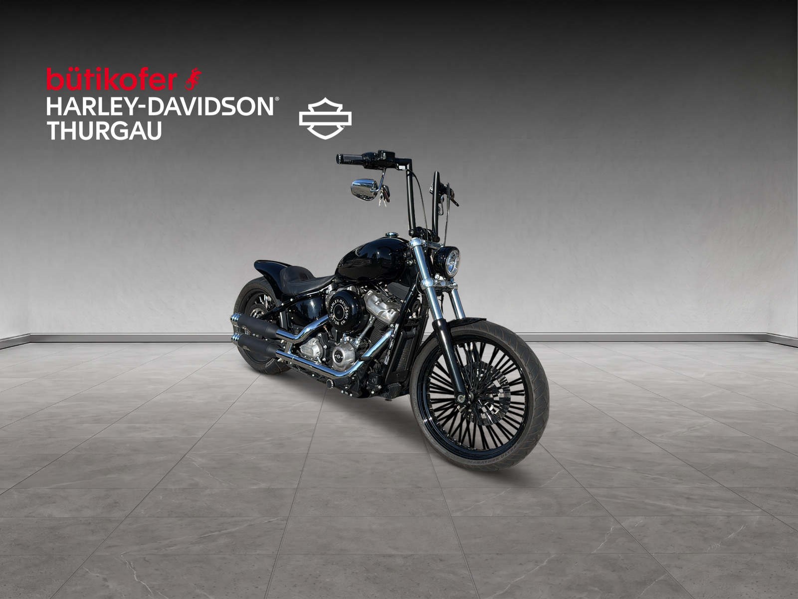 HARLEY-DAVIDSON FXST Softail Standard 107-image-0