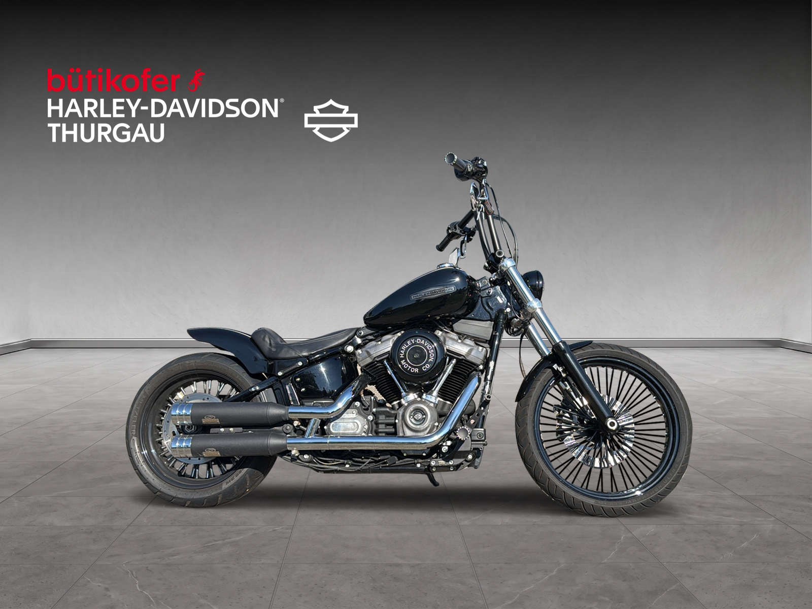HARLEY-DAVIDSON FXST Softail Standard 107-image-1