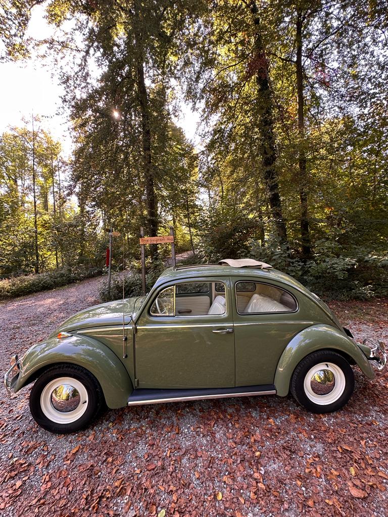 VW BEETLE-image-2