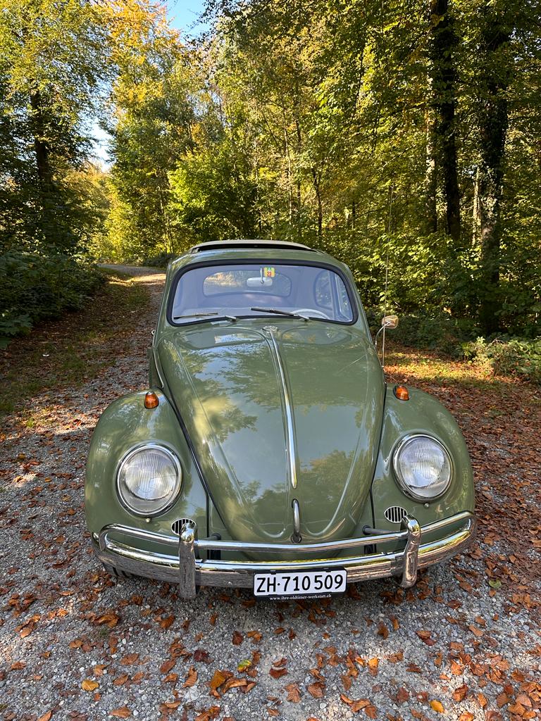 VW BEETLE