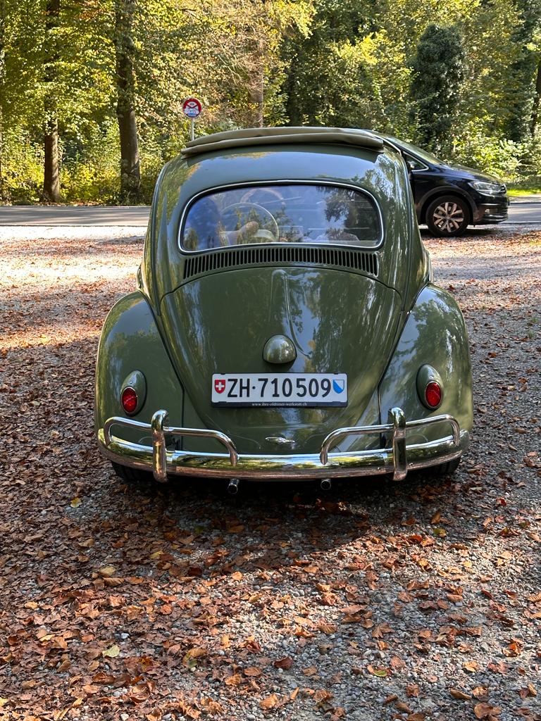 VW BEETLE-image-1