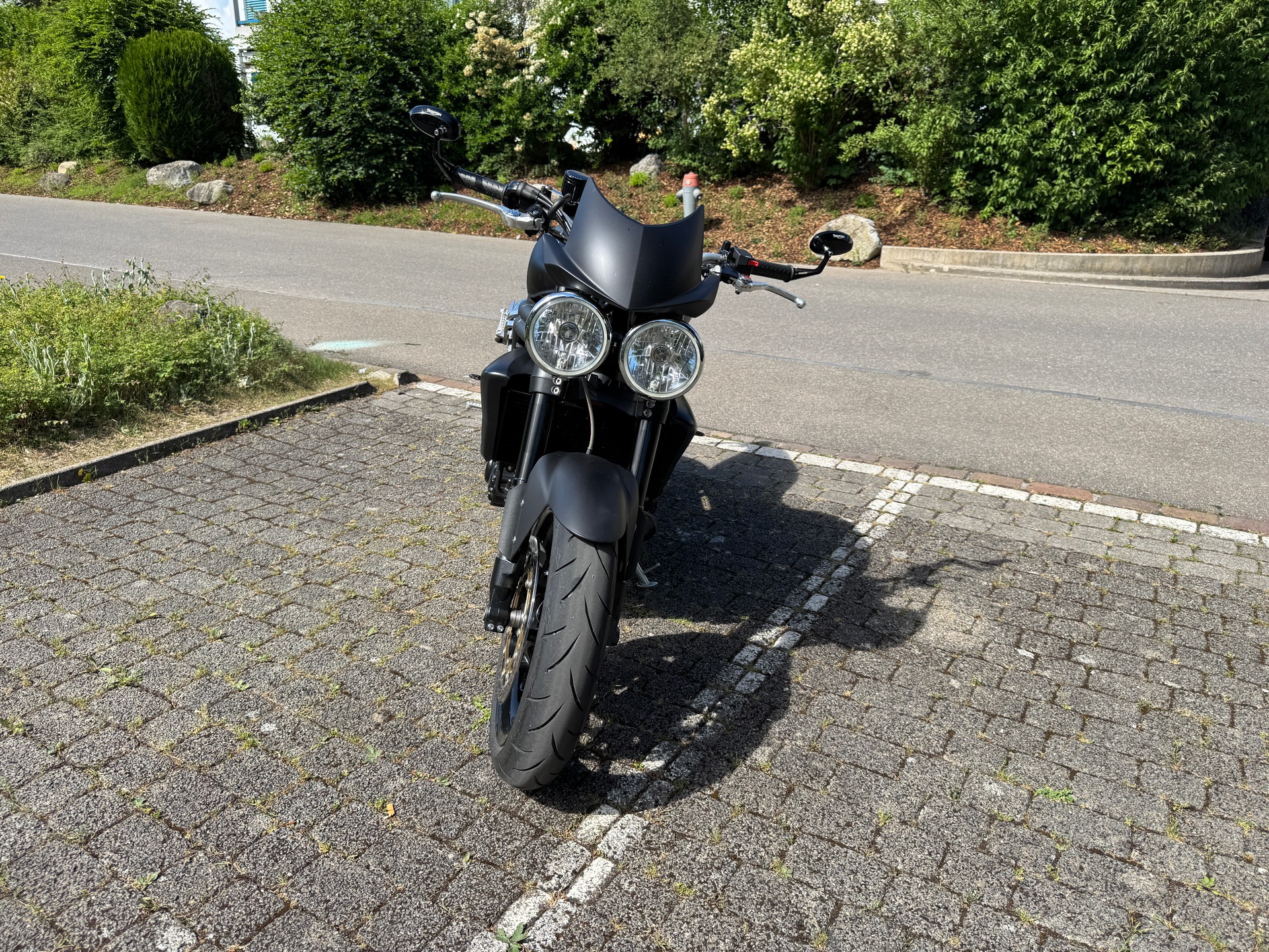 TRIUMPH Speed Triple 1050-image-2