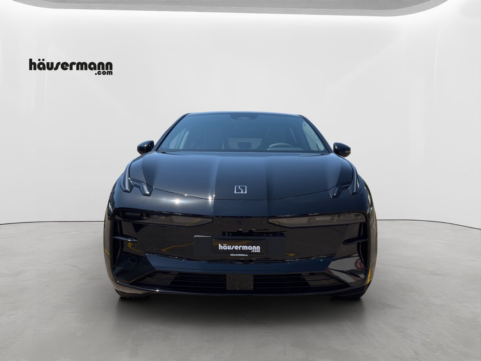 ZEEKR X Privilege AWD-showroom-element-1