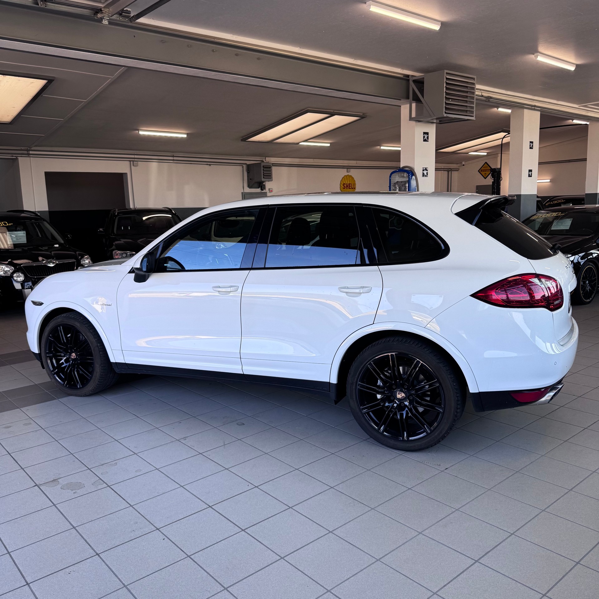 PORSCHE S Diesel-showroom-element-3