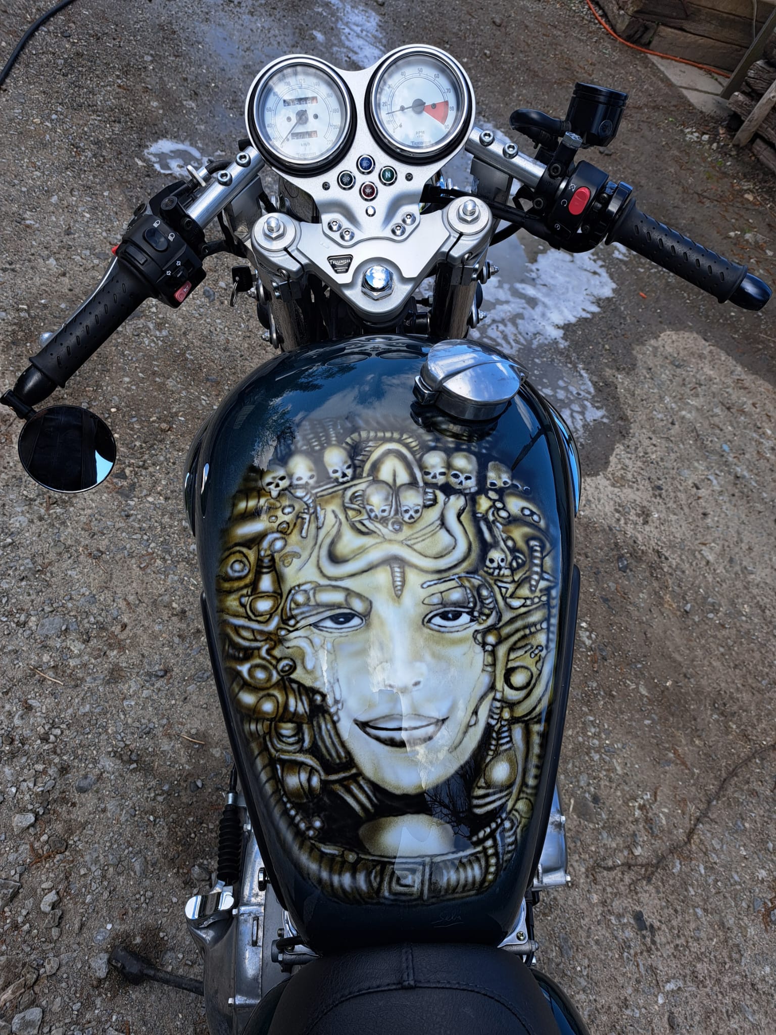 TRIUMPH Thruxton 900-image-5