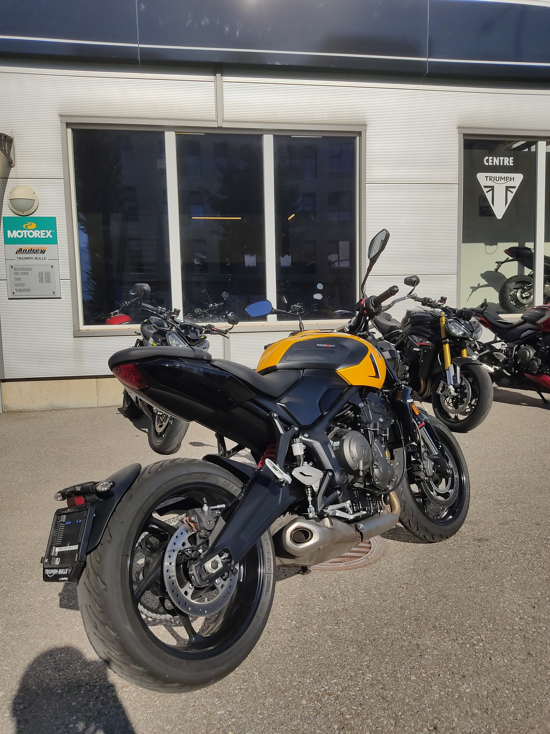 TRIUMPH Trident 660-image-2