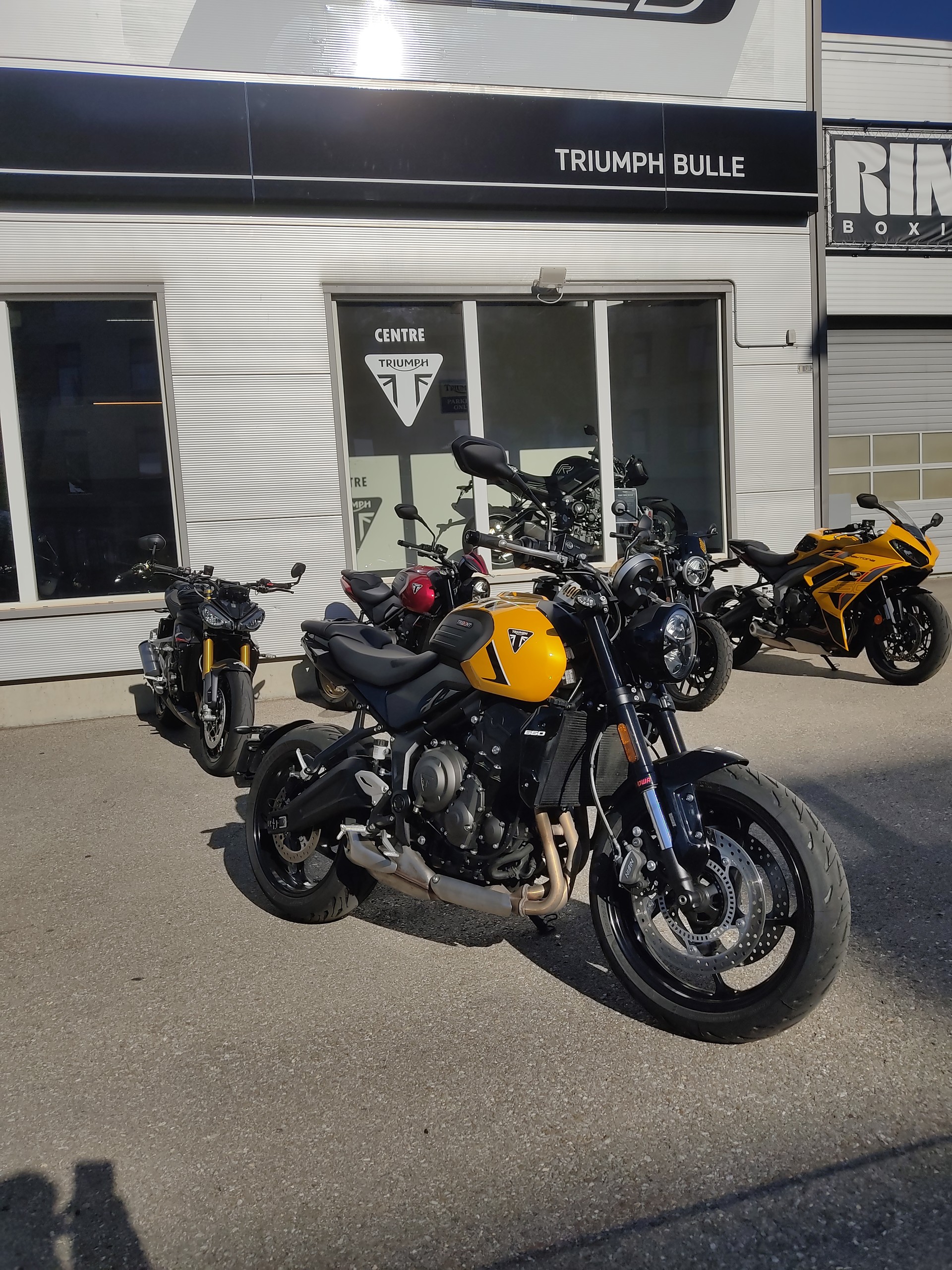 TRIUMPH Trident 660-image-0