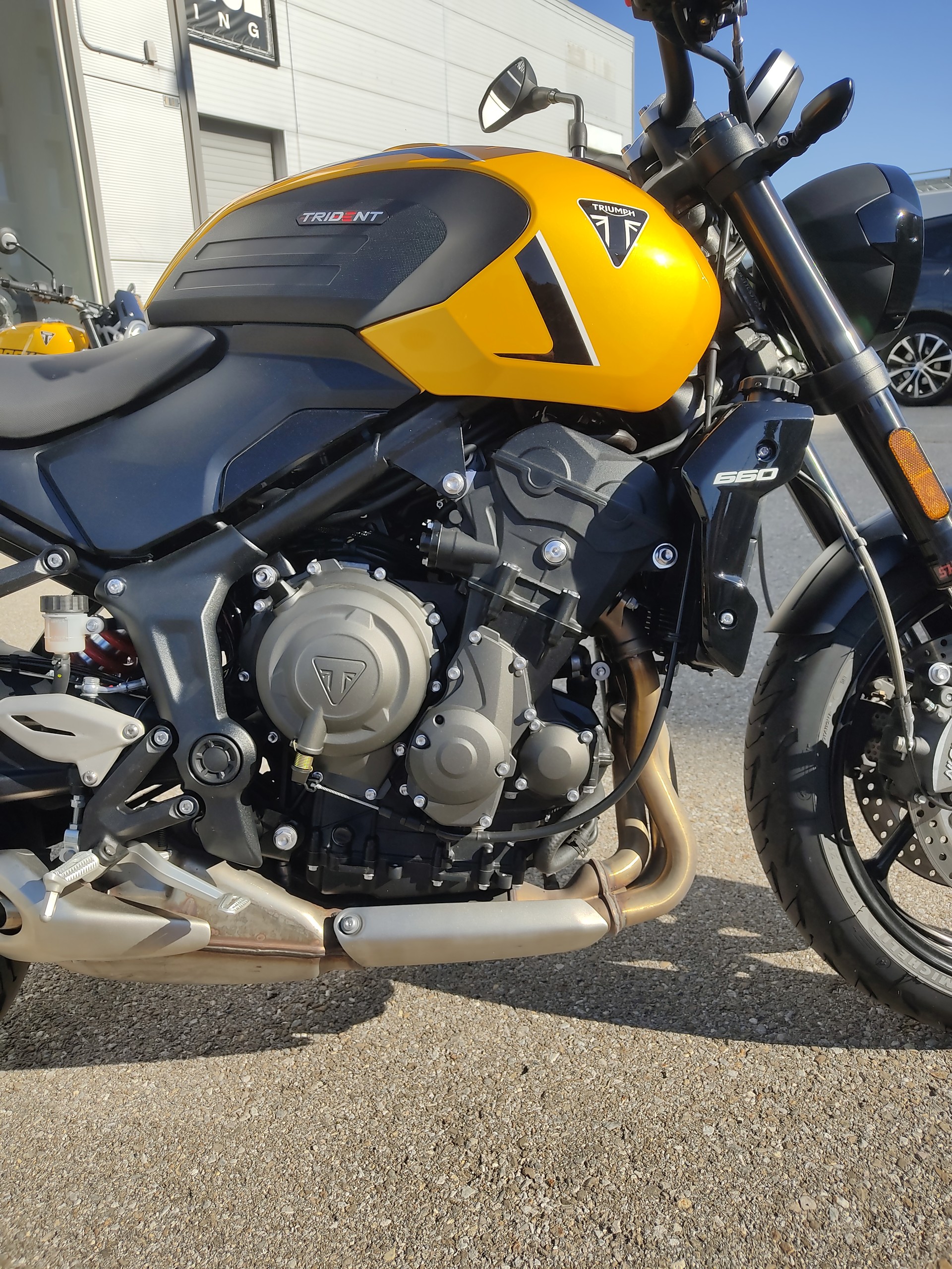 TRIUMPH Trident 660-image-5
