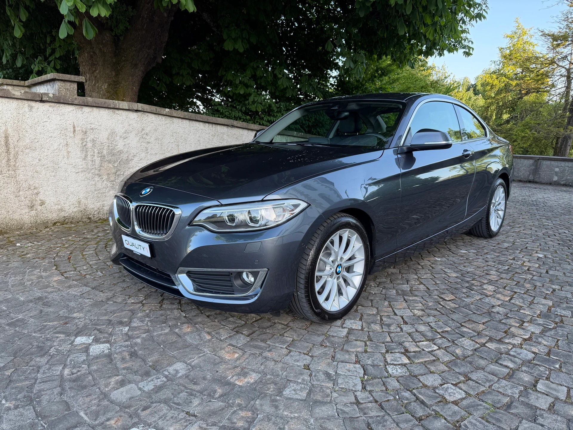 BMW 220d xDrive Luxury Line Steptronic / Frisch ab MFK / Service gepflegt / 36 Monate Garantie / 8 Fach / Leder / Navi / Xenon