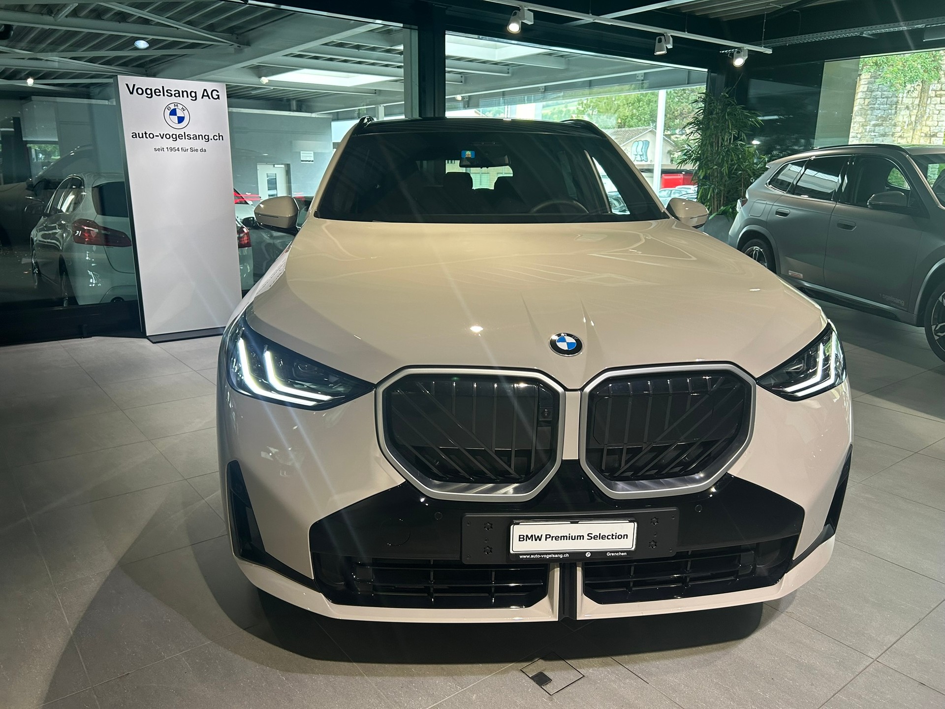 BMW X3 xDrive 30e M Sport-showroom-element-2