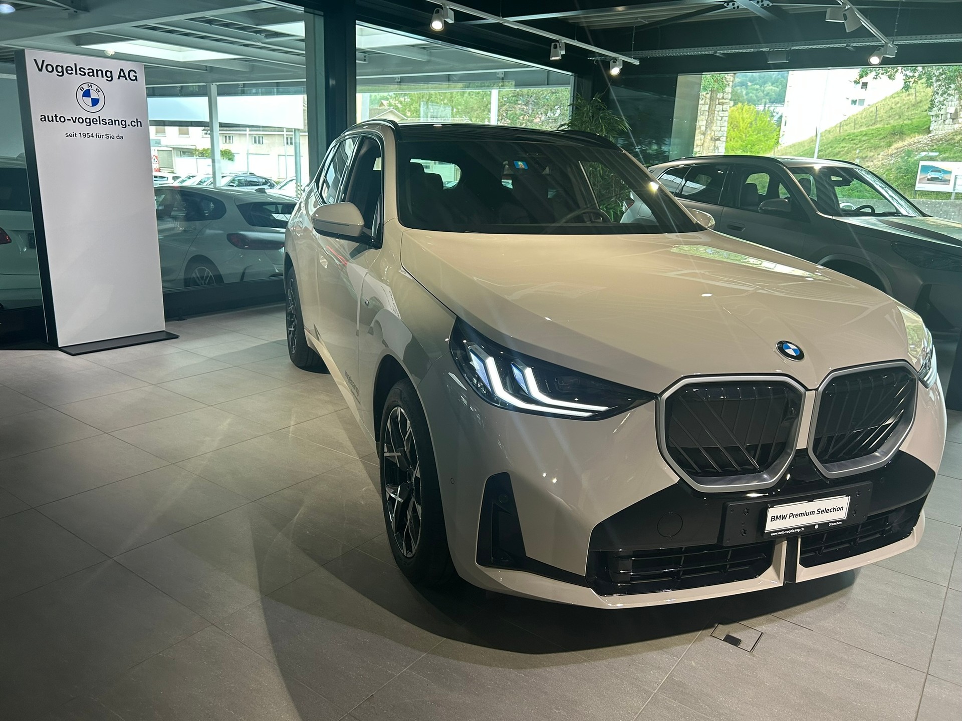BMW X3 xDrive 30e M Sport-showroom-element-1