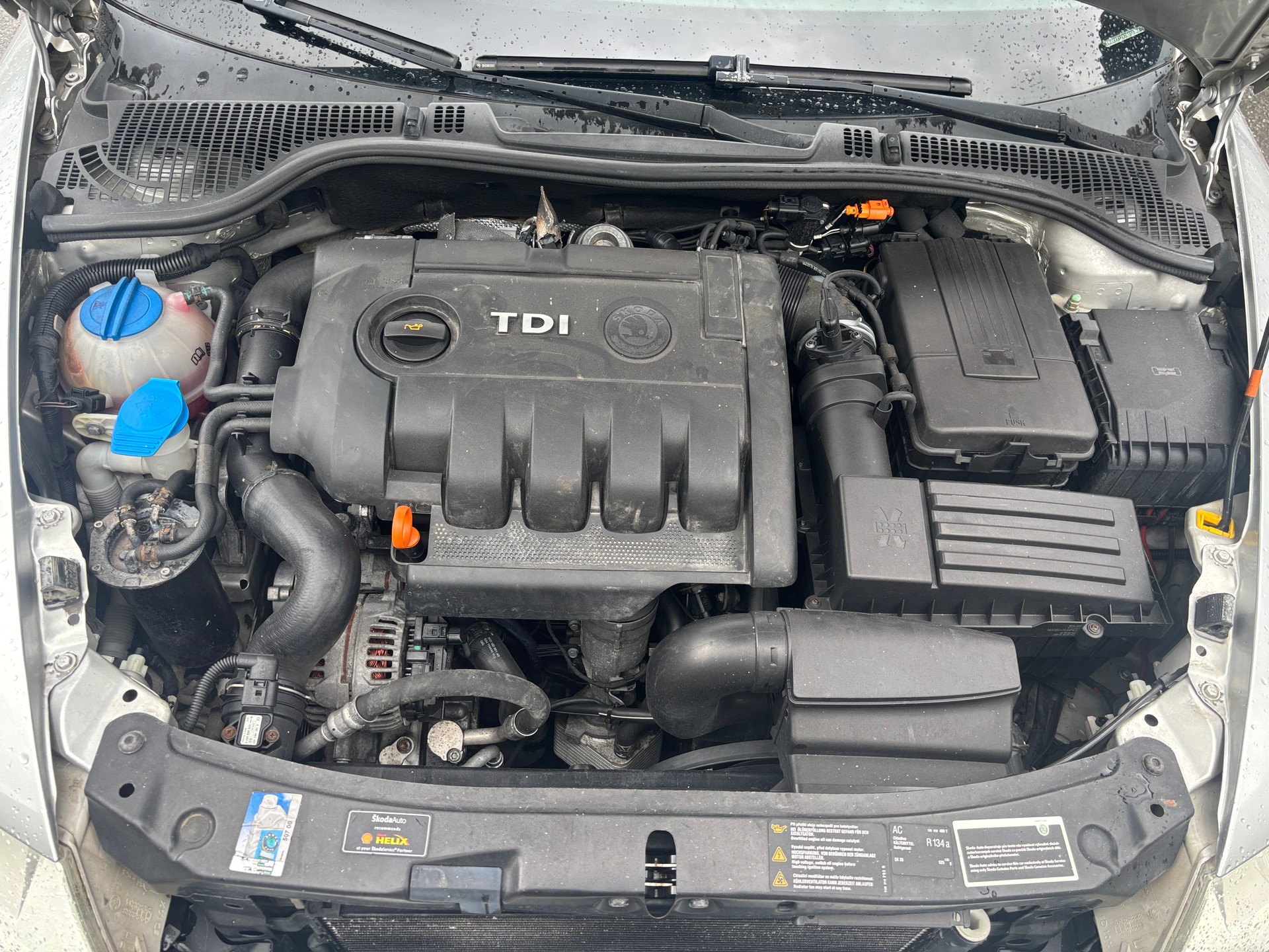 SKODA Octavia 2.0 TDI Adventure 4x4-image-11
