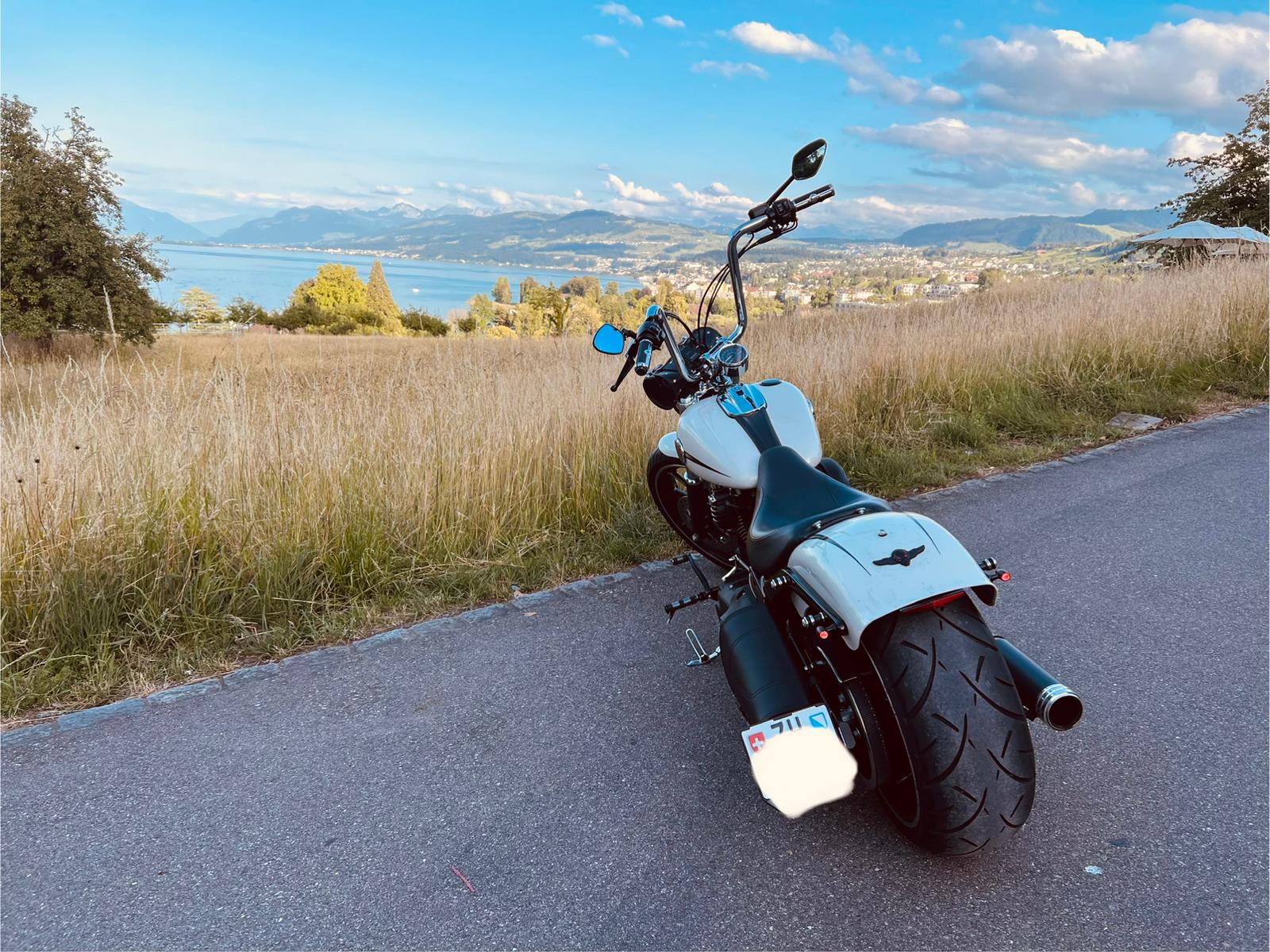 HARLEY-DAVIDSON FXSB Breakout 103 ABS-image-4