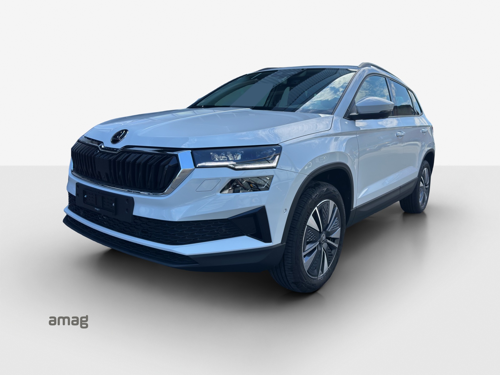 SKODA Karoq 1.5 TSI Dynamic DSG