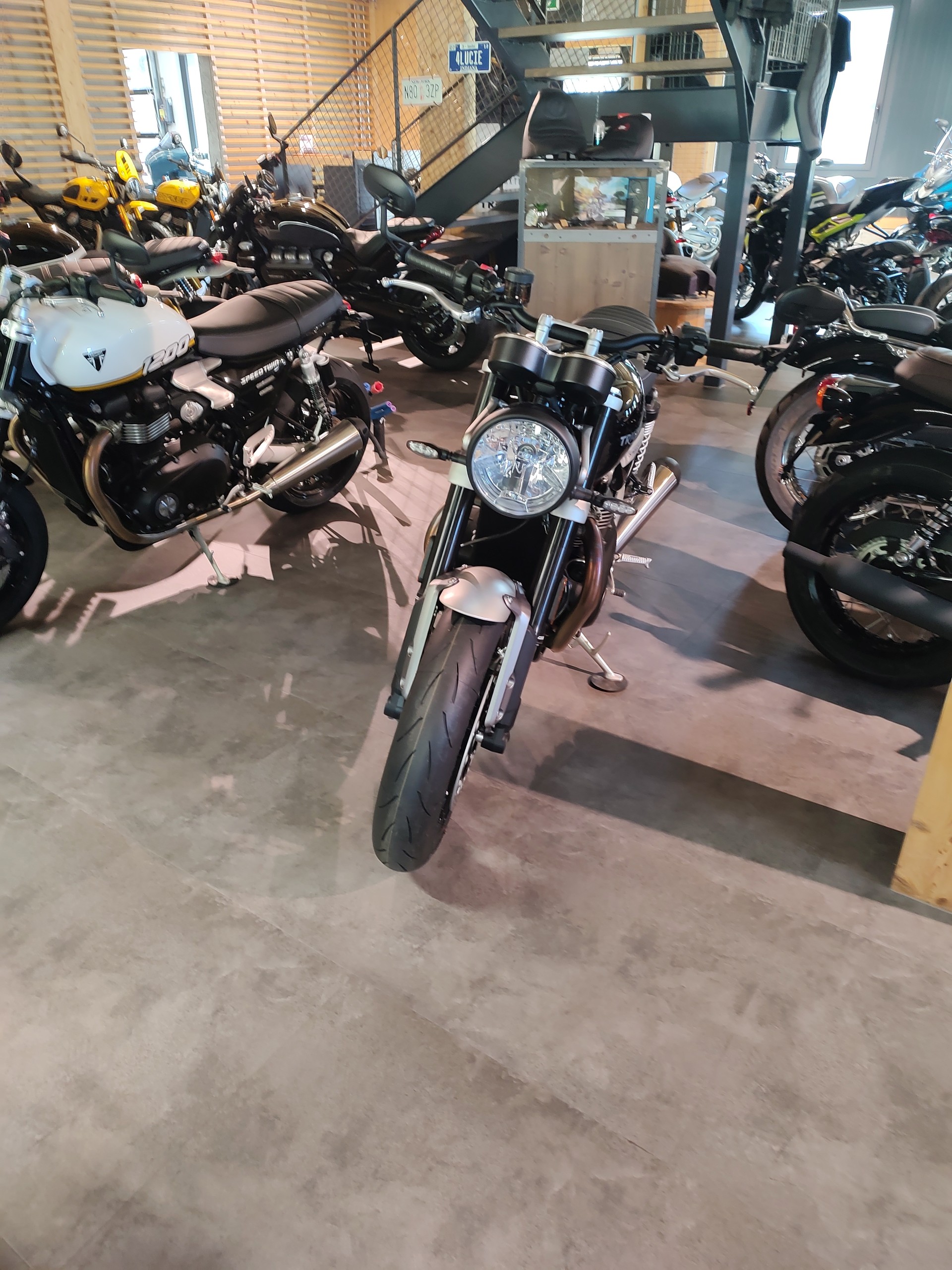 TRIUMPH Speed Twin 1200-image-3